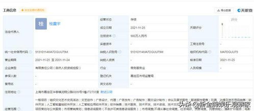 從工廠流水線到AI賽道 楊超越的跨界逆襲與科技夢想